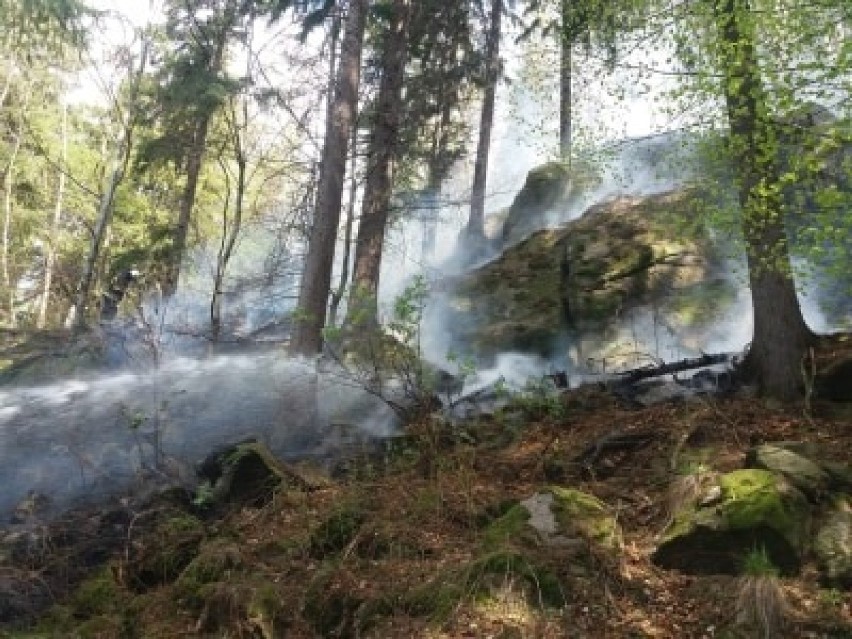 Kolejny pożar! Płonie las w pobliżu hotelu w Karpaczu [ZDJĘCIA]