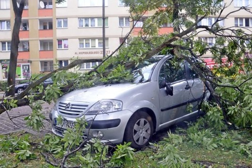 Nawałnica w Tychach: powalone drzewa, zniszczone samochody