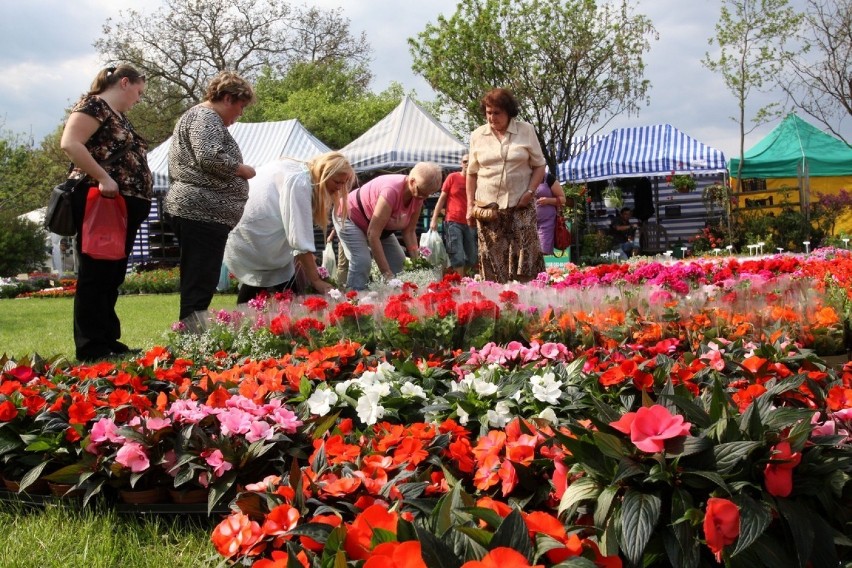 Ogród 2014