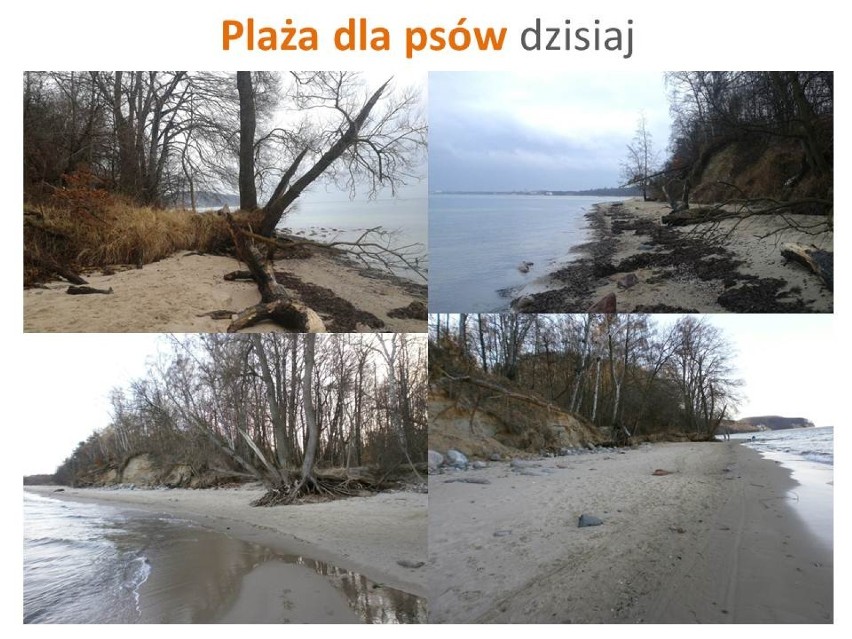 Pierwszy w Gdyni psi wybieg z dostępem do plaży ma zostać...