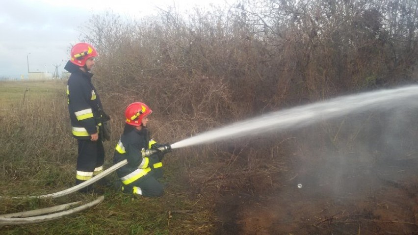 Pożar torfowiska w okolicach miejscowości Bałtrucie