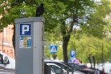 Nowe strefy płatnego parkowania w Sopocie już od kwietnia. Co się zmieni?
