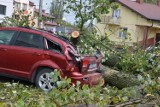 Skutki wichury w Bełchatowie i w powiecie. Wiatr zrywał dachy i powalał drzewa