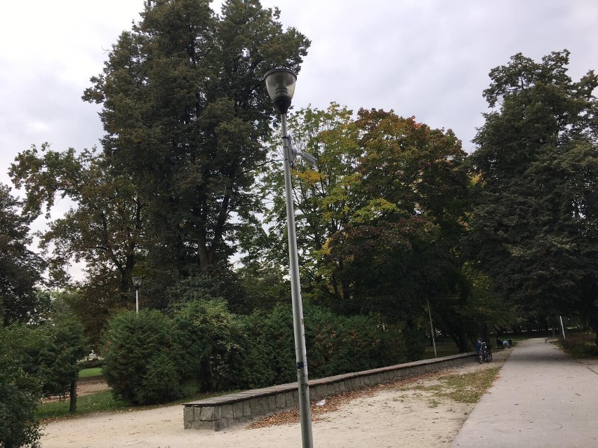 Monitoring w parku miejskim w Pleszewie