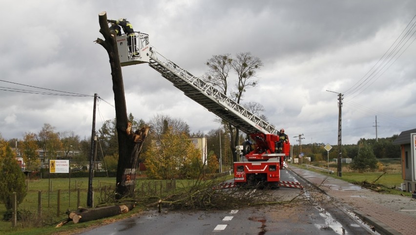 Wypadek przy ul. Namysłowskiej w Dobrzeniu Wielkim. Konar...