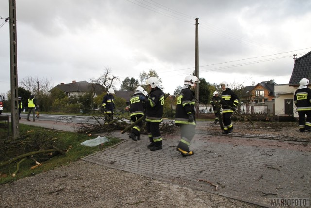 Wypadek przy ul. Namysłowskiej w Dobrzeniu Wielkim. Konar drzewa spadł na samochód. Zginął kierowca, pasażer został ranny.