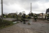 W Dobrzeniu Wielkim konar drzewa spadł na jadące auto. Zginął kierowca. Policja szuka świadków