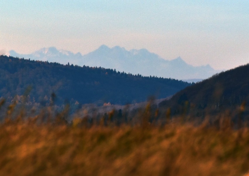 Słoneczny poranek z widokiem na Tatry [ZDJĘCIA]