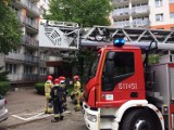 Interwencja straży pożarnej w Sosnowcu. Co się stało w bloku na osiedlu Środula?