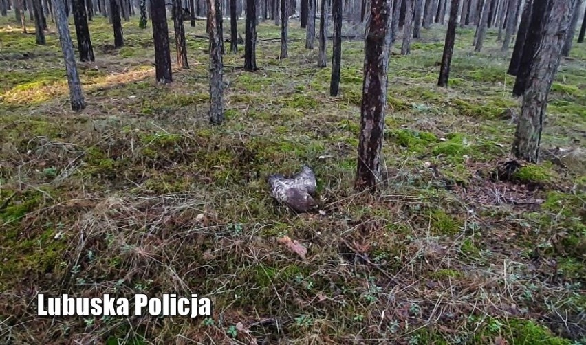 Pierwszy dzień kalendarzowej wiosny przyniósł niecodzienną...