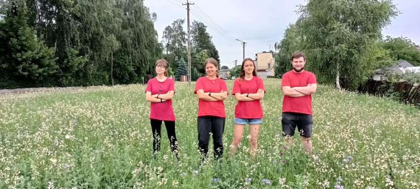 Tak wygląda pierwsza łąka kwietna w Radomsku. Już kwitnie i tętni życiem ZDJĘCIA