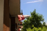 Dzień Flagi Rzeczypospolitej Polskiej 2024 w Olkuszu. Mieszkańcy Srebrnego Miasta wywiesili flagi. Zobacz zdjęcia 