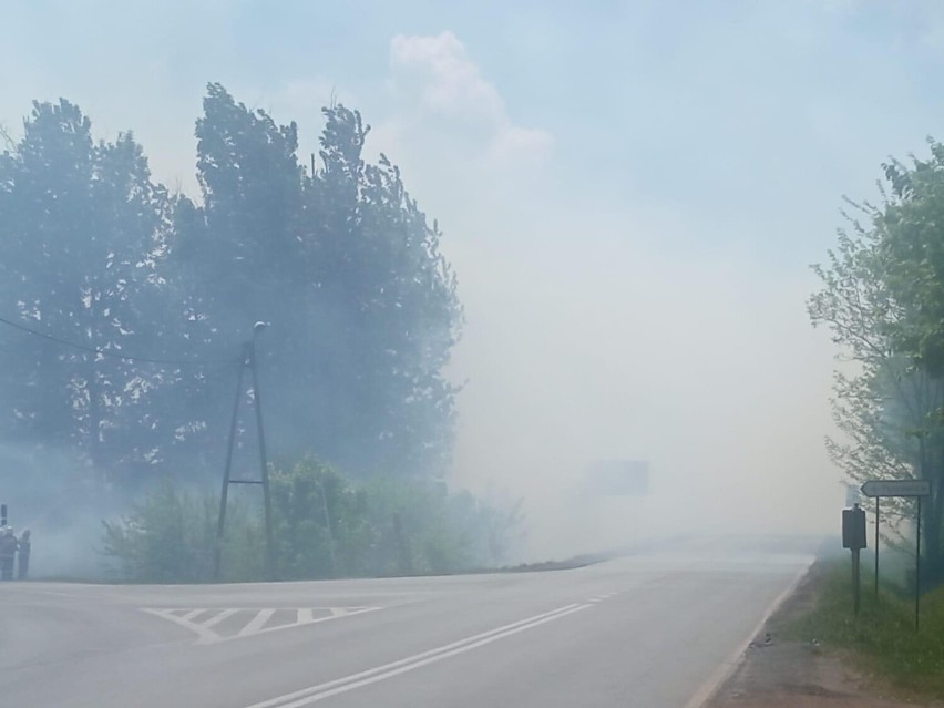 Pożar lasu obok Miasteczka Śląskiego - ZDJĘCIA! Płonęło ponad 40 hektarów! W akcji pożarniczej uczestniczyło 50 zastępów straży i śmigłowce