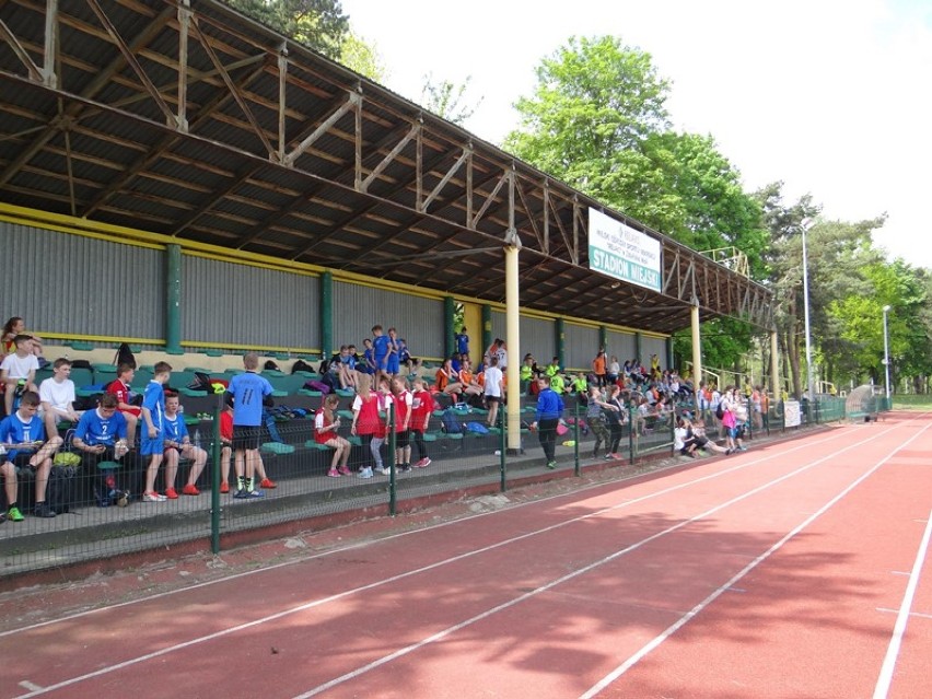 Podzielono pieniądze na sport w Zduńskiej Woli. Kto ile dostanie?