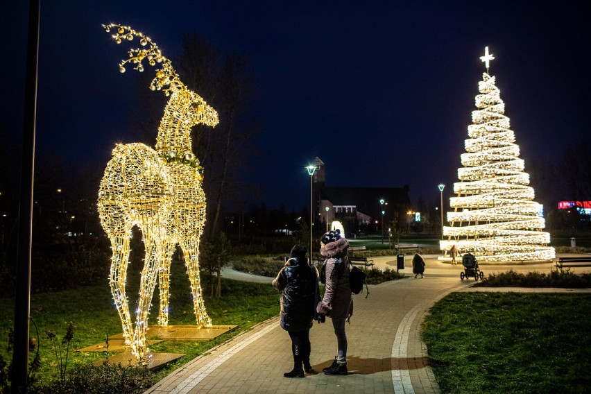 Ratusz czeka na zdjęcia Łomży nocą w świątecznej scenerii