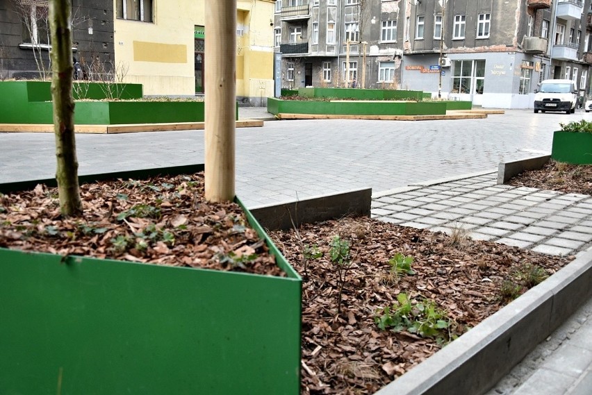 Wrocław. Mieszkańcy wściekli na zielone platformy na ulicach Daszyńskiego i Żeromskiego