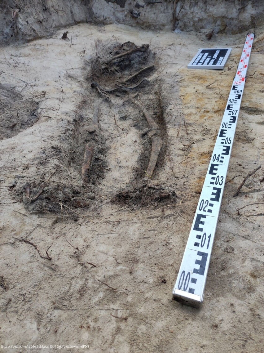 W Zwierzyńcu IPN odnalazł i ekshumował szczątki chłopca 