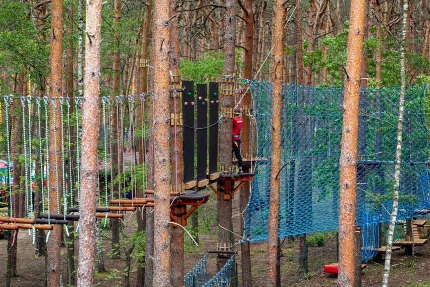 Już dostępny - nowy park linowy w LPKiW Myślęcinek. Jest...