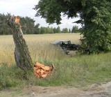 Sobole: Kierowca peugeota rozbił się na drzewie (ZDJĘCIA)
