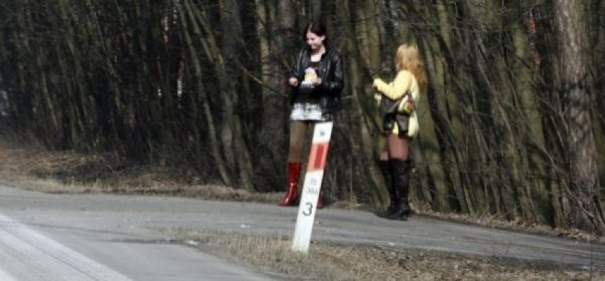 Przydrożna prostytucja w Katowicach. Akcja policji
