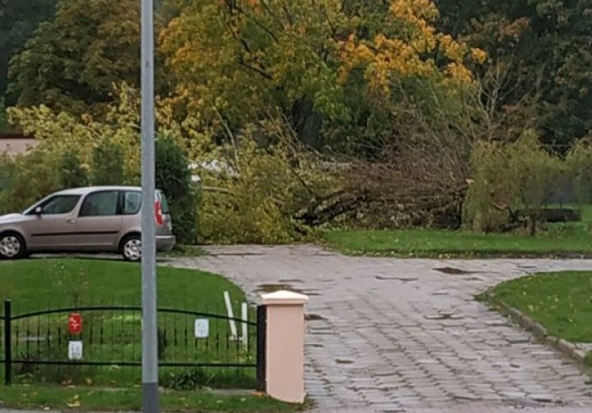 Silnie wieje w powiecie szczecineckim. Dziesiątki interwencji strażaków 