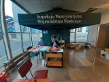 Fundacja S.O.S. dla Zwierząt apeluje o wsparcie wolontariuszy przy punkcie pomocowym zorganizowanym przez Wojewódzki Inspektorat Weterynarii