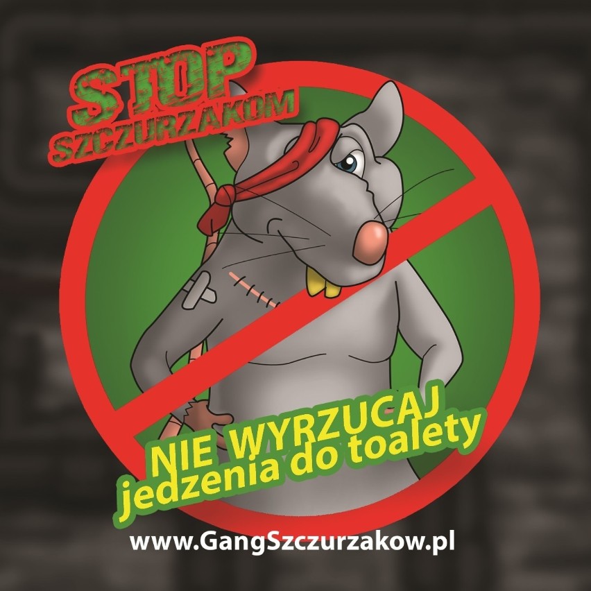 Sosnowiec walczy z plagą szczurów: Akcja "Gang Szczurzaków - STOP szczurom w kanalizacji miejskiej"