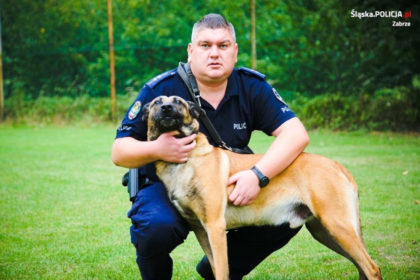 Służba psa w Policji zwykle trwa około 9 lat. Przez cały ten...