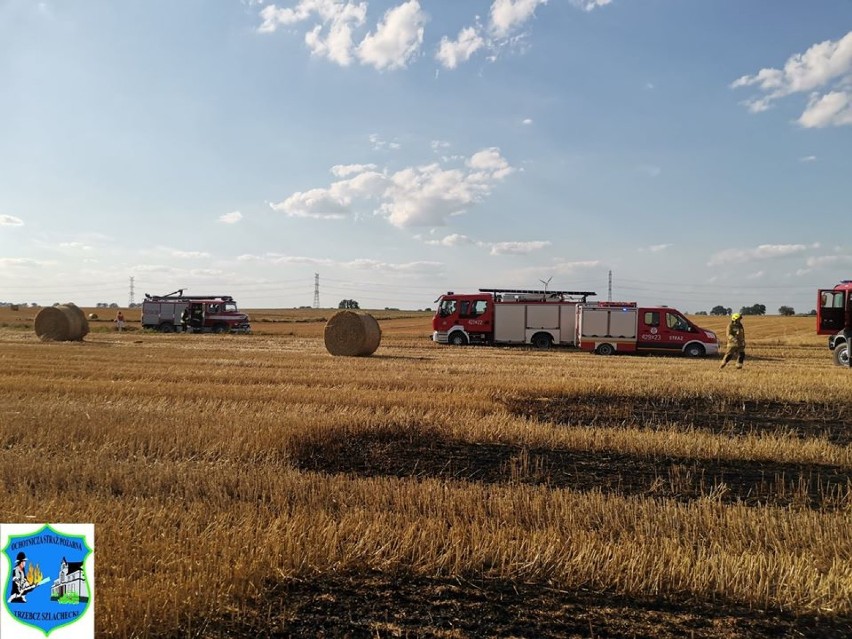 Pożar na polu w Trzebczu Szlacheckim gasiło aż dziesięć...