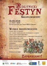 Festyn średniowieczny w Zabrzu. Pokazy rycerskie w Rokitnicy