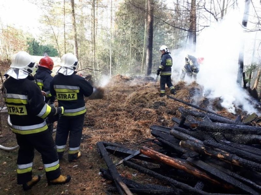 Nowy Sącz. Pożar w gospodrstwie przy ul. Zalesie