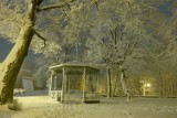 W Przemyślu sypnęło śniegiem. Zobacz nocne zdjęcia przysypanego miasta [GALERIA]