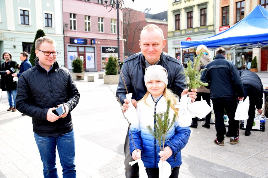 Rybniczanie będą sadzić. Drzewka od posła Krząkały rozeszły się w 30 minut! 