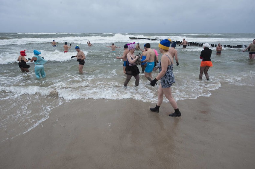 Noworoczna kąpiel morsów na plaży w Mielnie [ZDJĘCIA]