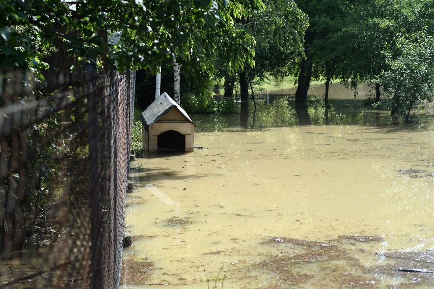 Powódź błyskawiczna w Jaśle. Rok temu woda zalała kilkaset budynków, zniszczyła domy, firmy, drogi, obejścia [ZDJĘCIA]