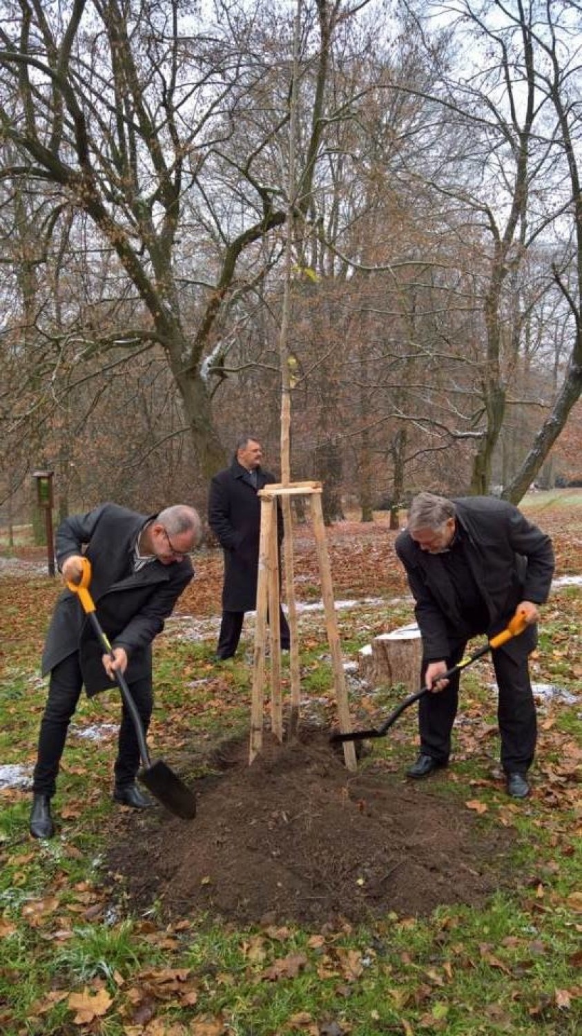 Na 80-leciu nadania praw miejskich czeskim Letovicom gościła...