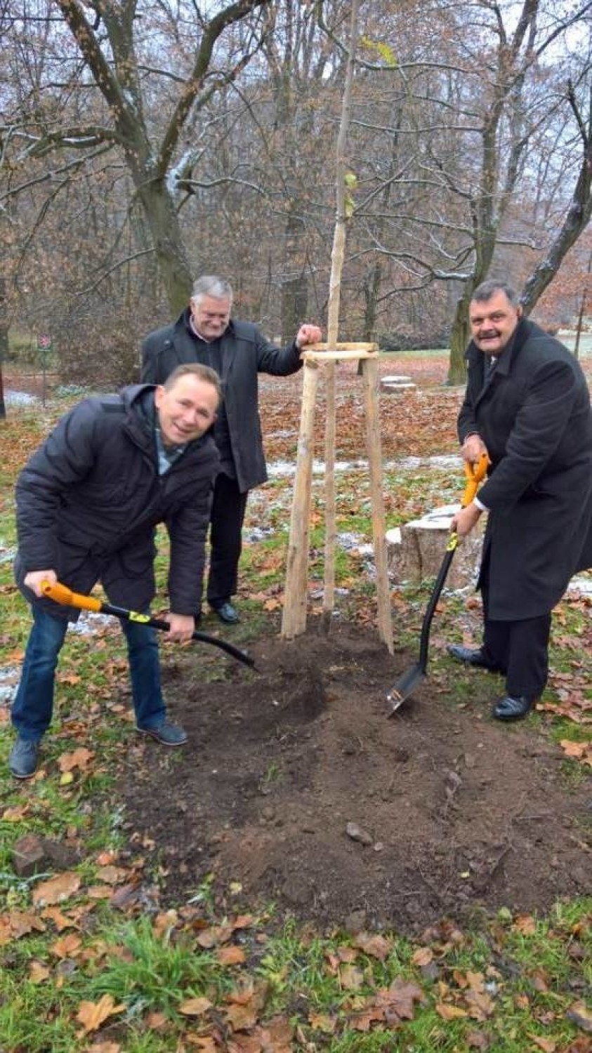 Na 80-leciu nadania praw miejskich czeskim Letovicom gościła...