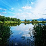 Znamy zwycięzców Letniego Konkursu Fotograficznego “Powiat w kadrze”! Zobacz zdjęcia zdolnych mieszkańców powiatu dzierżoniowskiego!