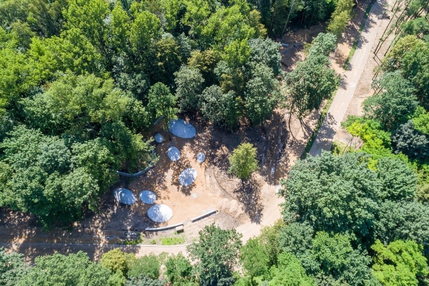 Park Rozkówka w Będzinie czeka na swoje drugie życie Zobacz...