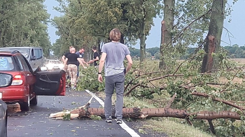 Krajobraz po burzy. Setki interwencji straży pożarnej we Wrocławiu i na Dolnym Śląsku (ZDJĘCIA, FILM)