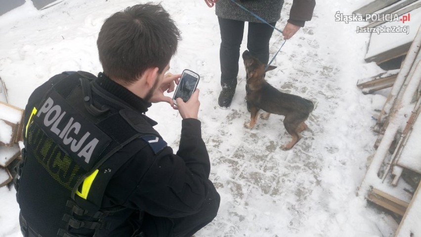 Policja w Jastrzębiu: uratowali szczeniaka