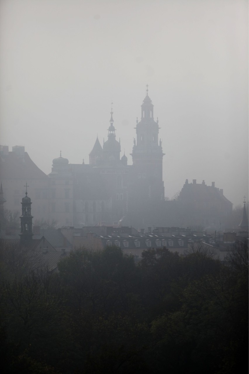 14 listopada Dzień Czystego Powietrza. Czy skutecznie walczymy ze smogiem?