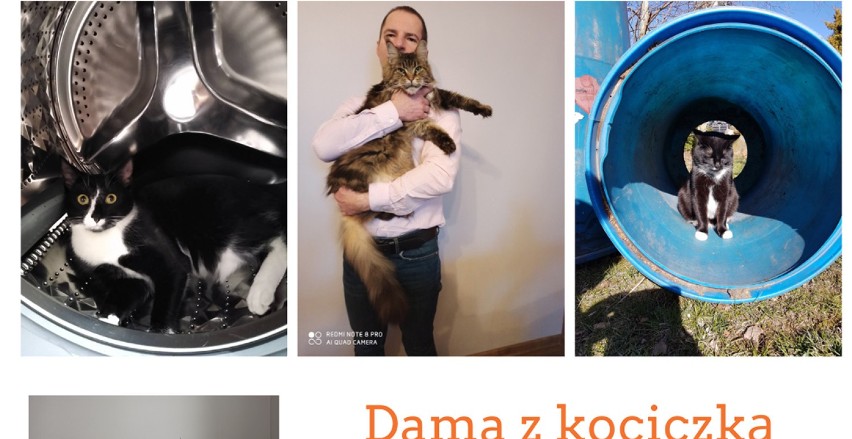 Tczew. Dama z kociczką – konkurs fotograficzny ONLINE z okazji Światowego Dnia Kota