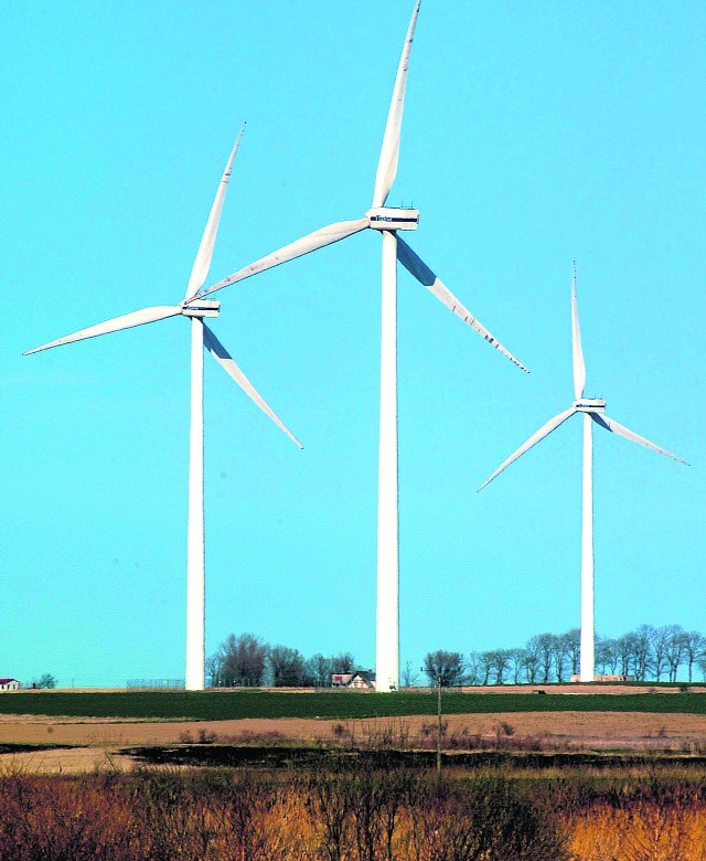 Skrzydeł do wykorzystywania energii odnawialnej dodają nam, zajmujące coraz większe połacie elektrownie wiatrowe. Ostatnio Unia wsparła takie inwestycje m.in. w gminach Działoszyn, Czarnocin oraz Sulejów