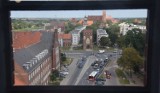 Malbork. Środowisko naturalne w liczbach. Czy w miejskim ekosystemie da się żyć? Oto dane z oficjalnego raportu. Niektóre mogą zdziwić