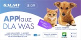 GS24.pl wraz z Centrum Handlowym Galaxy pomaga zwierzakom w potrzebie – charytatywna akcja 