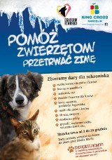 Poznań - Wielka świąteczna zbiórka dla bezdomnych zwierząt