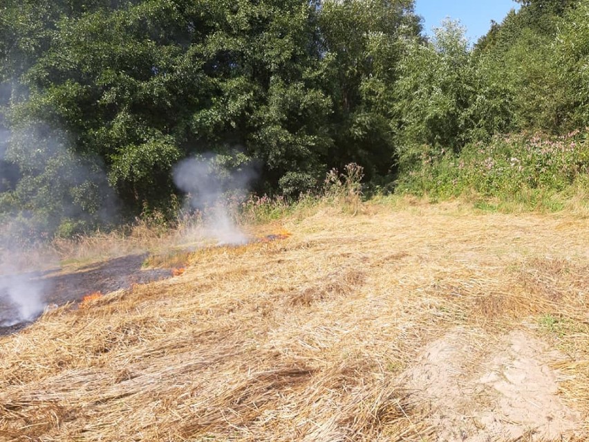 Pożar w Mechowie (sierpień 2019). Ogień wybuchł na ściernisku niedaleko lasu
