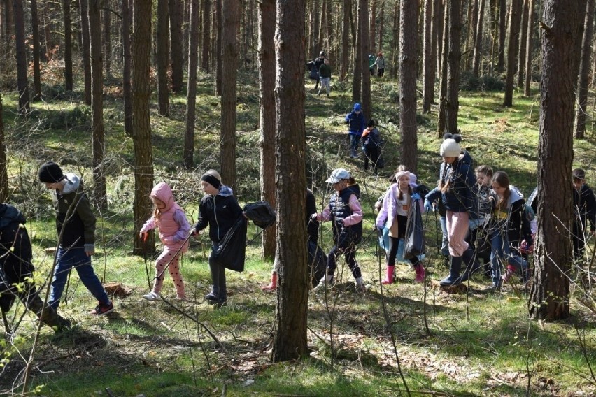 Sprzątaniu lasów w Raciniewie przyciągnęły przedstawicieli...