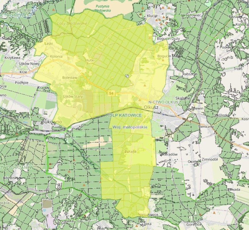 Na żółto - obszar objęty zakazem wstępu do lasu